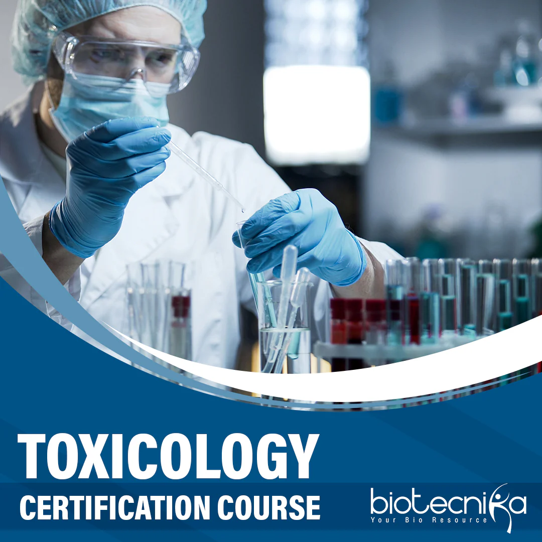 Top Trending Courses Post Coronavirus Lockdown